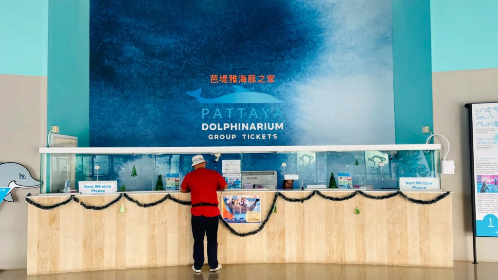 Explore Dolphinarium Pattaya And Experience The Magic of Swimming with Dolphins and Seals.