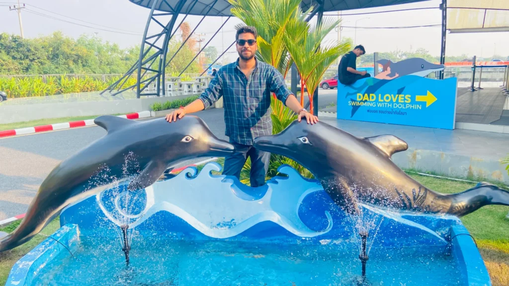 Explore Dolphinarium Pattaya And Experience The Magic of Swimming with Dolphins and Seals.