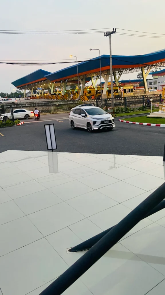 Explore Dolphinarium Pattaya And Experience The Magic of Swimming with Dolphins and Seals.