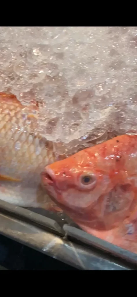 10 Things To Do In Pattaya